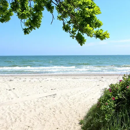 Apartment Strandnahe Mit Balkon, Gratis Nutzung Vom Ahoi Erlebnisbad Und Sauna In Sellin - Rex Rugia 30-8 *