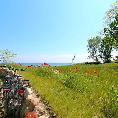 Apartment Strandnahe Mit Balkon, Gratis Nutzung Vom Ahoi Erlebnisbad Und Sauna In Sellin - Rex Rugia 30-8
